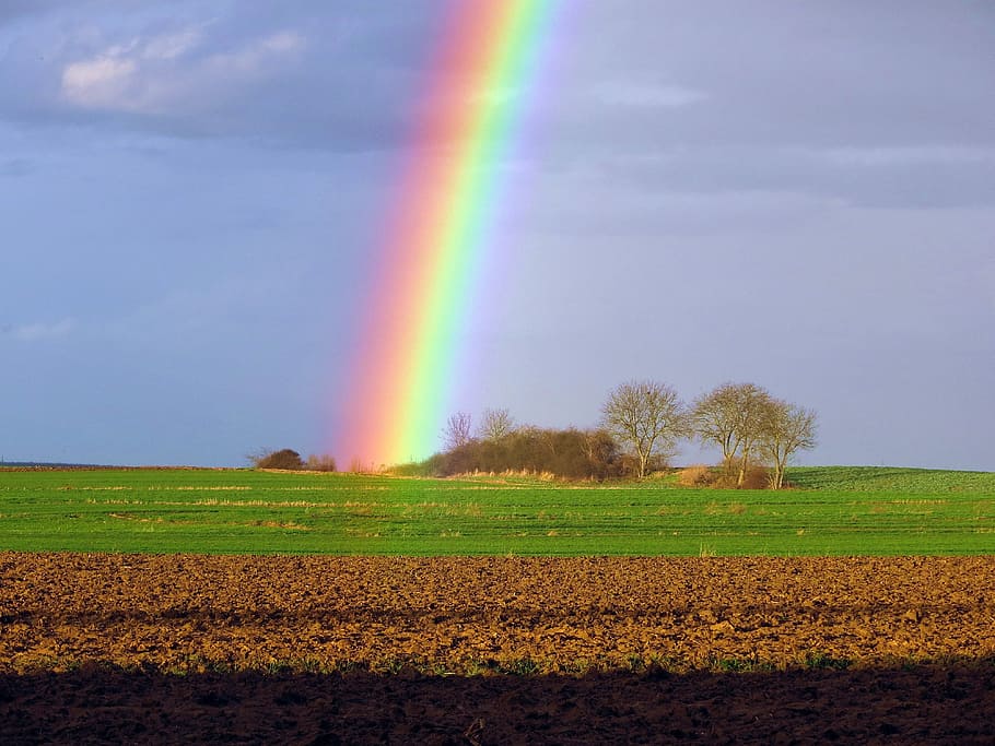 Landscape, Rainbow, Early Spring, nature, field, sky, blue HD wallpaper