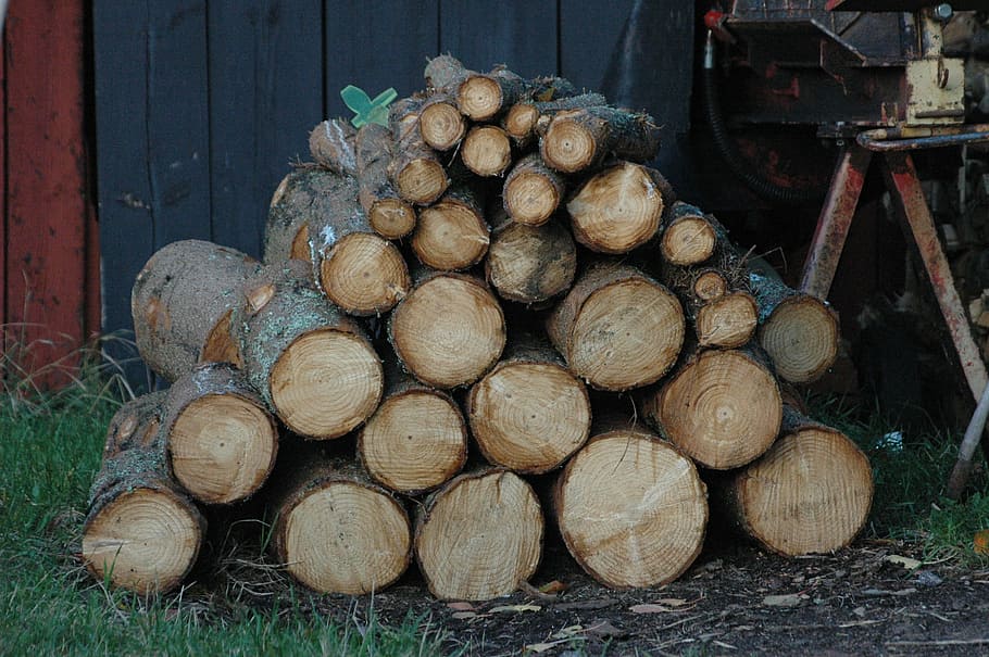 logs, timber, tree, high, wood, forest, piles, tribe, wood - Material HD wallpaper