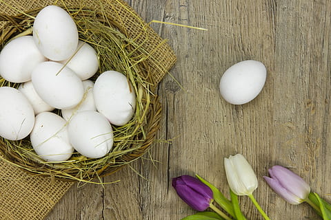 white eggs on nest beside flowers, easter eggs, colorful eggs HD wallpaper