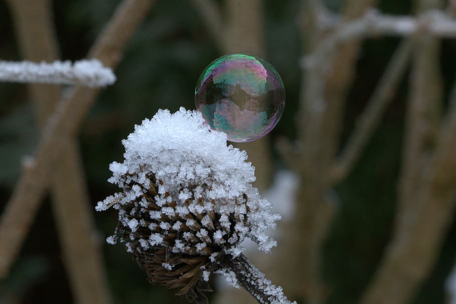 soap bubble, ze, frozen, frozen bubble, frost, structure, cold, HD wallpaper