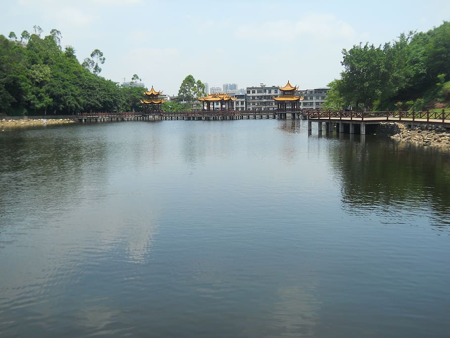 park, lake, water, tree, built structure, architecture, waterfront HD wallpaper