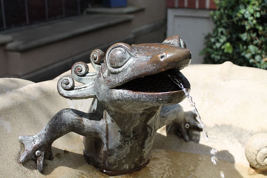 fountain, statue, frog, water, bronze, animal, animal themes HD wallpaper