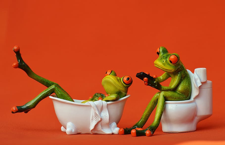 two green frogs in bathtub and toilet bowl, loo, funny, bathroom