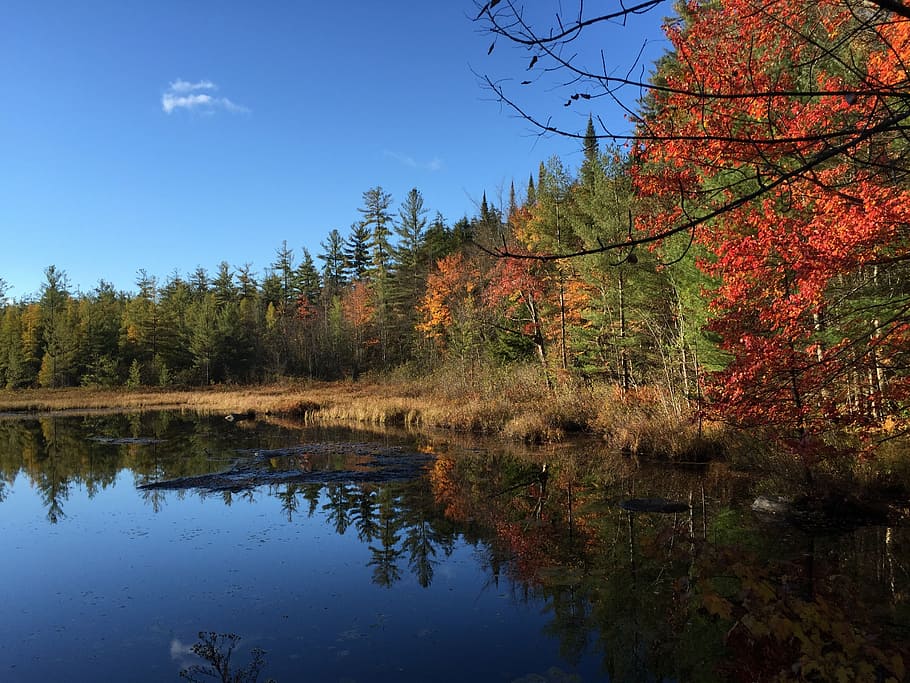 reflections, pond, adirondacks, water, landscape, autumn, sky HD wallpaper