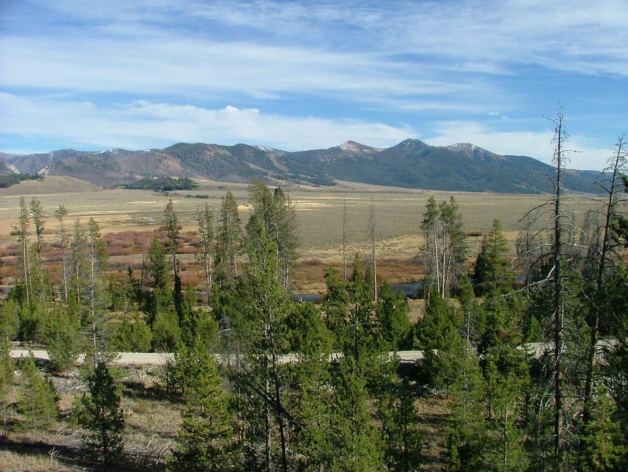 mountain, range, view, scenic, forest, idaho, sawtooth, environment HD wallpaper