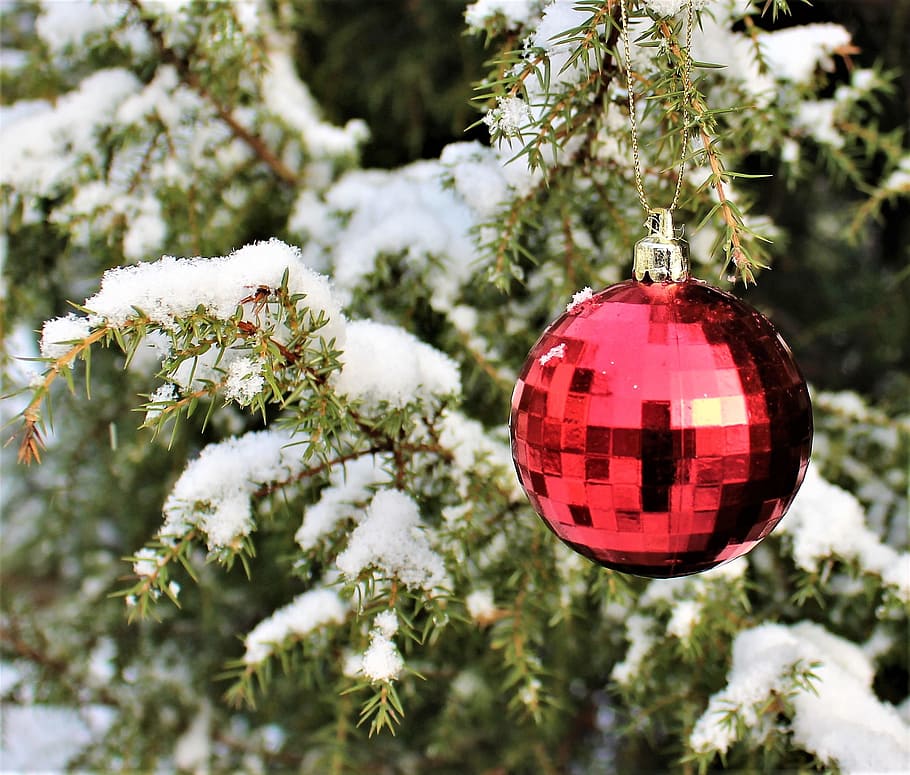 red bauble hang on tree, julkula, winter, christmas, snow, juniper, HD wallpaper