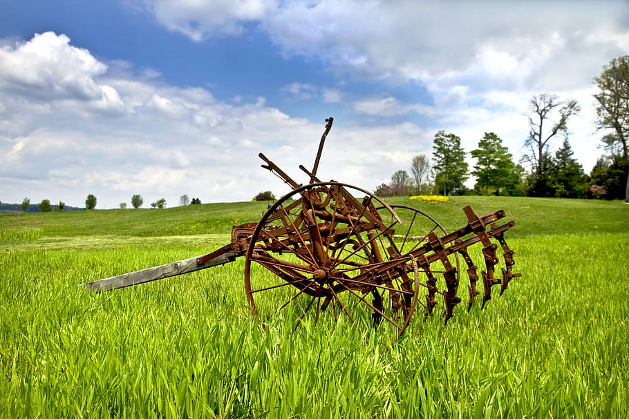 disk, disc, farm, machinery, old, antique, vintage, grass, blue HD wallpaper