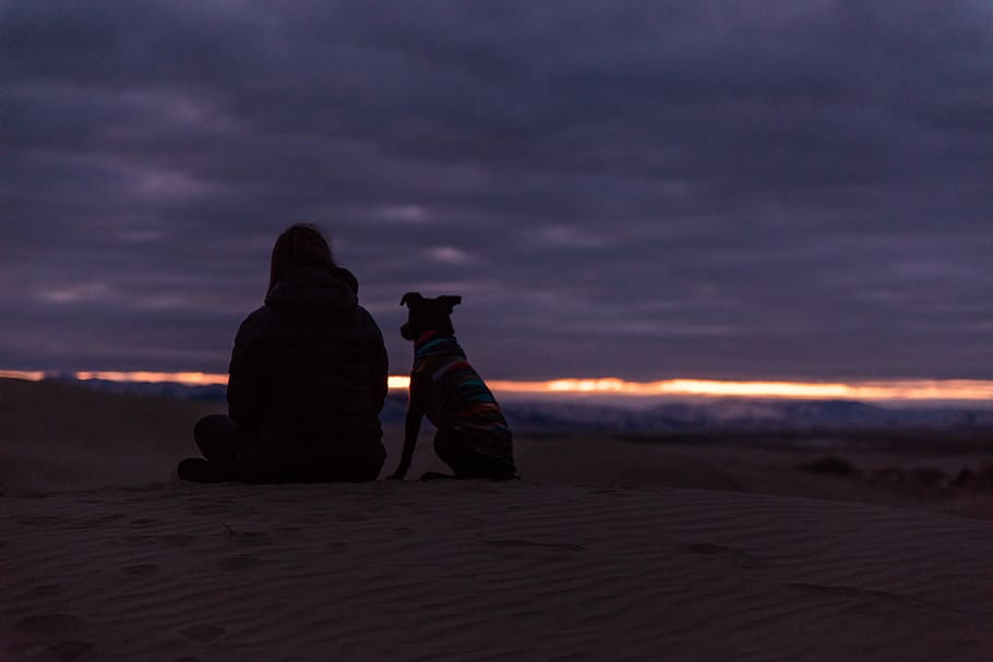 man and dog sitting on sand during sunset, silhouette of person sitting next to a dog at the seashore, HD wallpaper