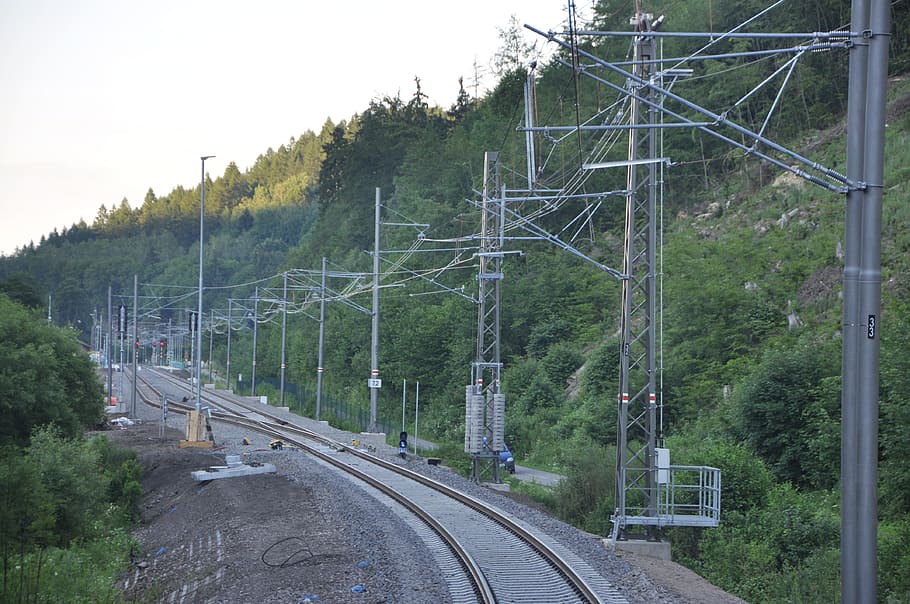 traction, train, railway, tree, transportation, plant, rail transportation HD wallpaper