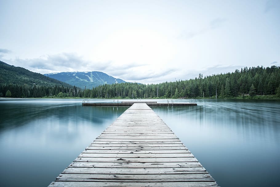 gray wooden sea dock near green pine trees under white sky at daytime, brown wooden dock under the body of water HD wallpaper