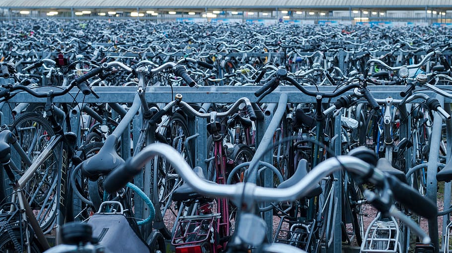 assorted bicycle lot, photo of assorted-color bicycle lot, bike rack, HD wallpaper