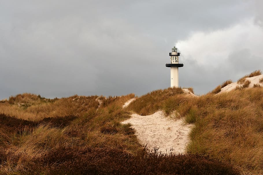 lighthouse, borgholm, beach, twilight, nature, sea, silhouette HD wallpaper