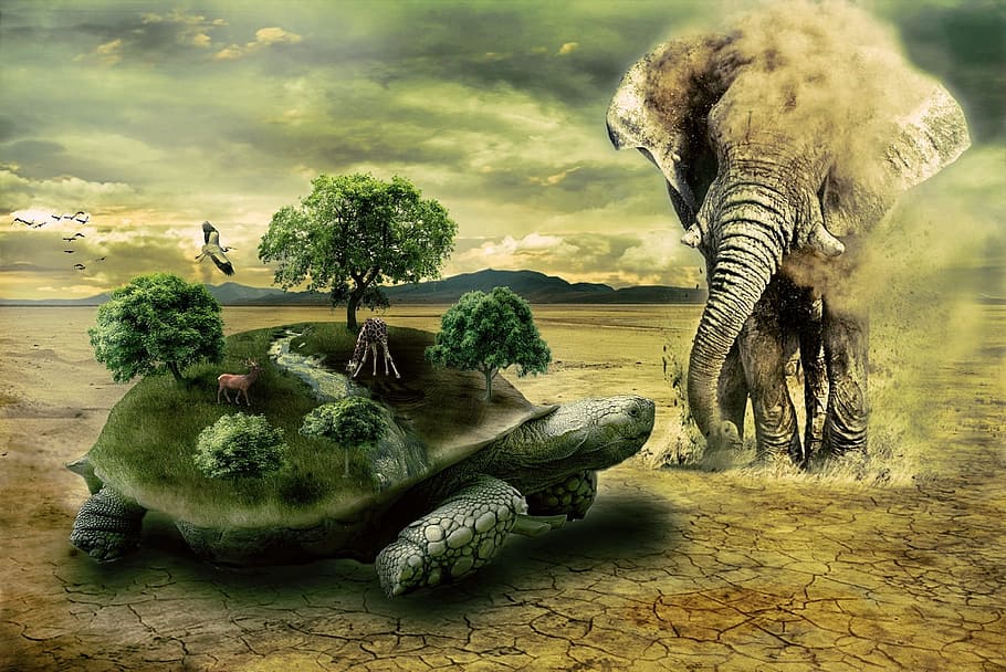 grey elephant and green turtle with trees and grasses on its body edited photo, HD wallpaper