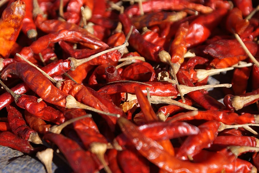 chili, chilli pepper, red, sharp, food and drink, backgrounds HD wallpaper
