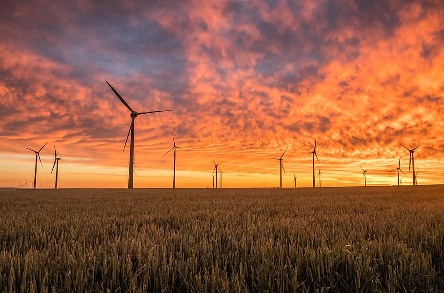 windmill during sunset, clouds, field, grass, silhouette, sky HD wallpaper