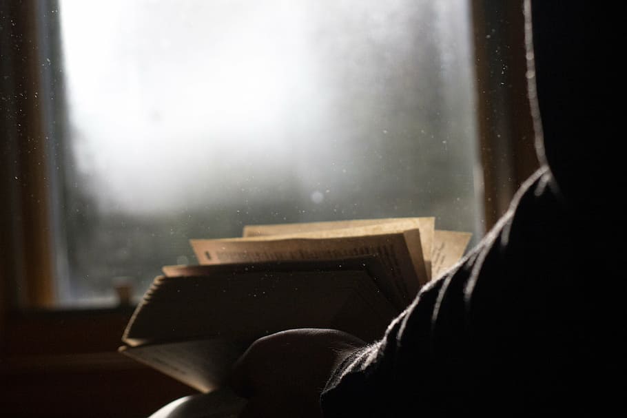 person reading book in front of window, holding, sitting, room HD wallpaper