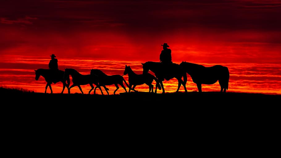 sunset, cut, horizontal, twilight, backlit, evening, silhouette HD wallpaper