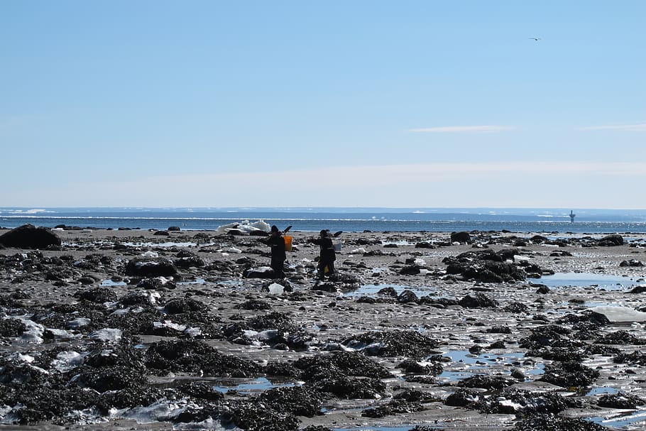 canada, winter, sea, shell seekers, beach, sky, water, horizon over water HD wallpaper