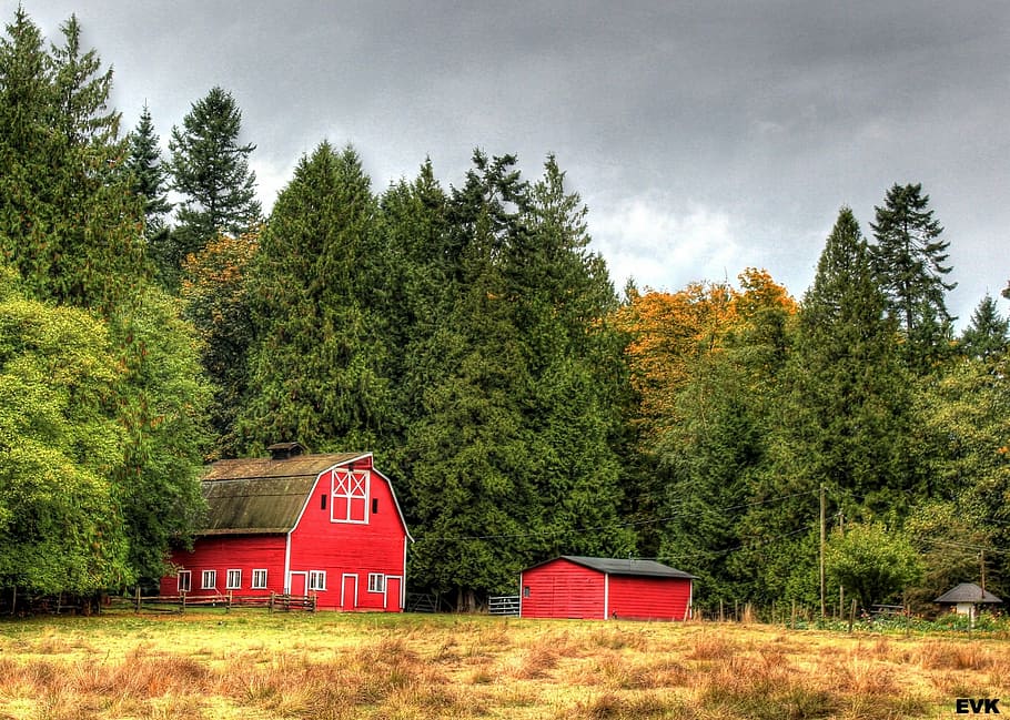 red barn surrounded by trees, landscape, clouds, sky, nature HD wallpaper