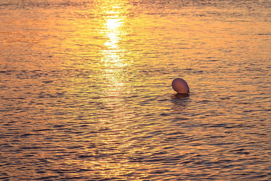 landscape photo of balloon on sea, body of water during sunset HD wallpaper