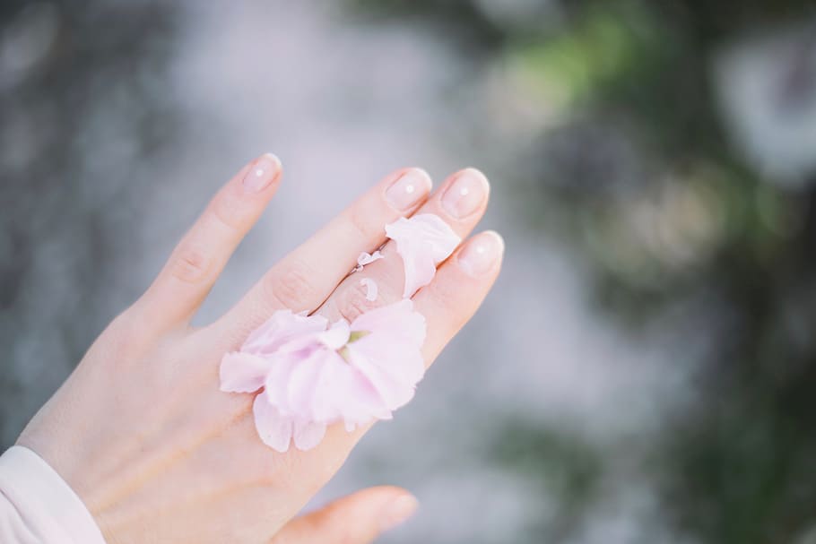 selective focus photography of person wearing pink ring, flower HD wallpaper