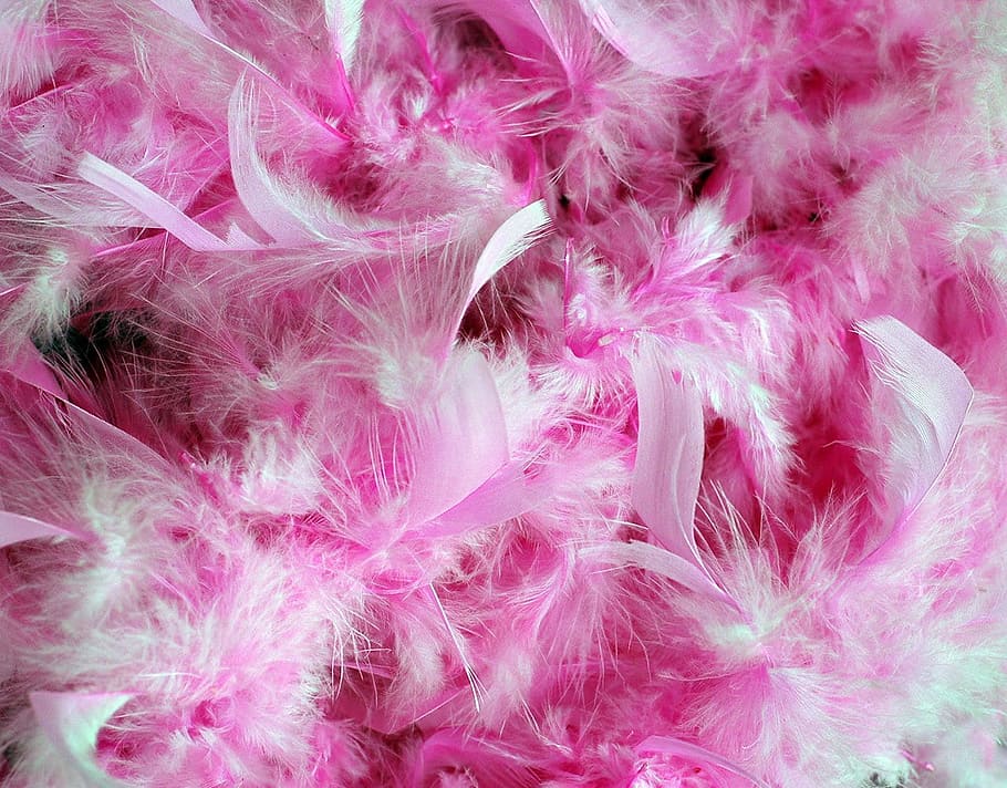 pink and white feathers, pink feathers, pink plumage, feather boa, HD wallpaper