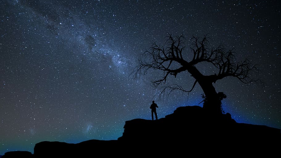 silhouette of person standing beside bare tree under stary sky, person standing near tree HD wallpaper