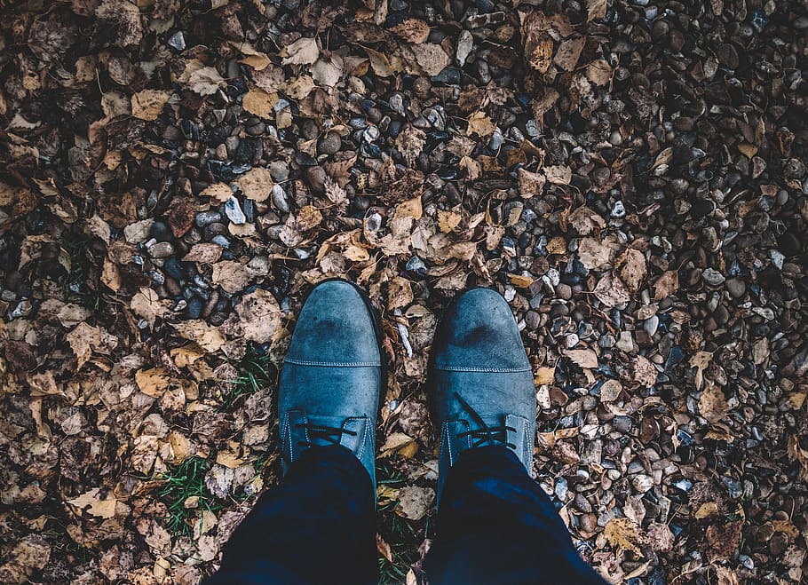 person wearing black leather oxford dress shoes with leaves, person wearing gray sneakers and black pants HD wallpaper