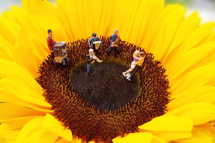 yellow sunflower, miniature, ho2, figures, chapel, music, macro, HD wallpaper