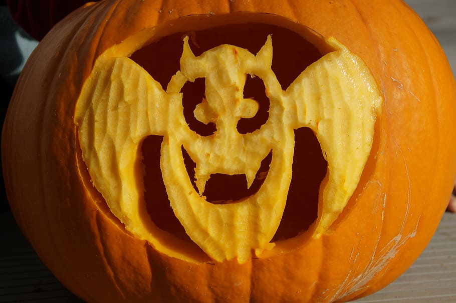 bat, halloween, pumpkin, pumpkin ghost, carved, art, artfully HD wallpaper