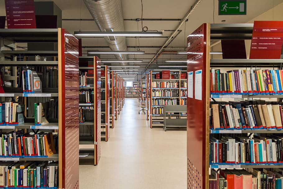 book arrange in bookshelf, rack, library, reading, education HD wallpaper