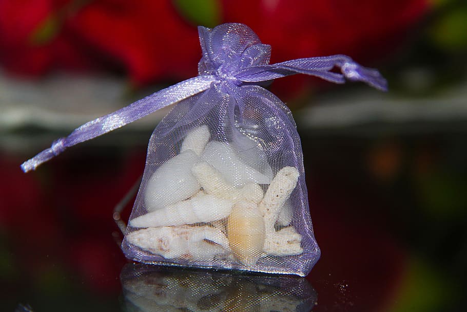 lovely, beautiful, gift, seashells, souvenir, beach, bag, maldives HD wallpaper
