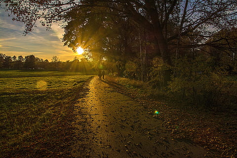 two person walking near trees and field during golden hour HD wallpaper