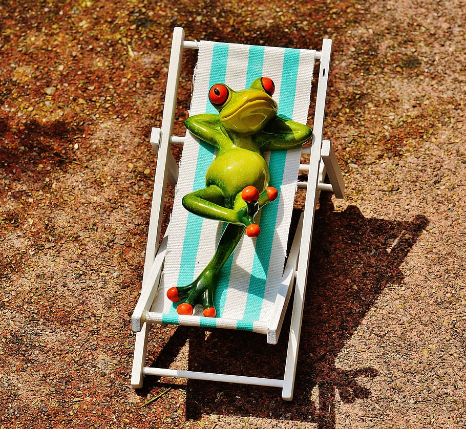 untitled, deck chair, beach, frog, summer, sun, relaxation HD wallpaper