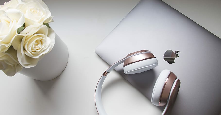 rose gold Beats cordless headphones on silver MacBook, flower, HD wallpaper