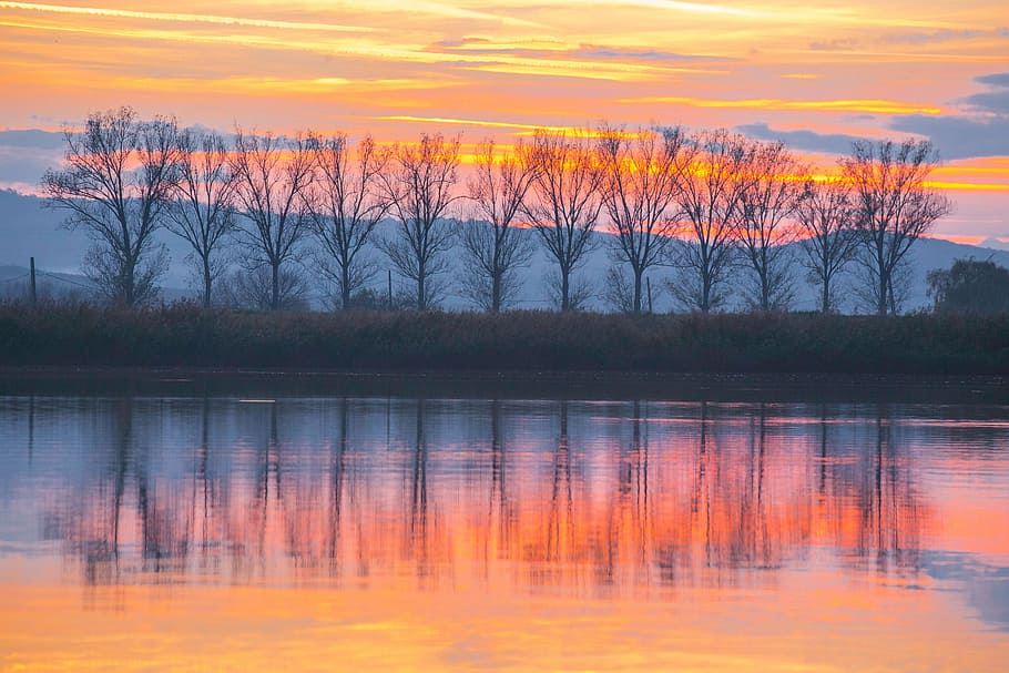 silhouette of trees shadowing on water during golden hour, sun HD wallpaper