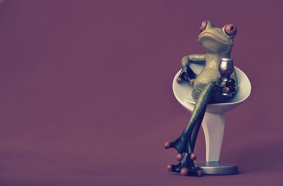 frog, chair, cozy, drink, wine, soaked, cute, sweet, funny, HD wallpaper