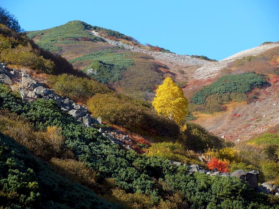 autumn, mountains, clouds, forest, trees, birch, fall colors HD wallpaper