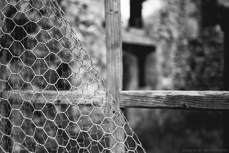 fence, closing, window, ruins, black and white, focus on foreground HD wallpaper