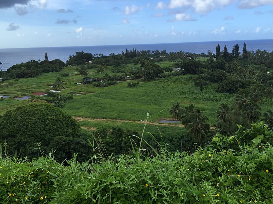 hawaii, grass, helicopter, plant, sky, scenics - nature, green color HD wallpaper