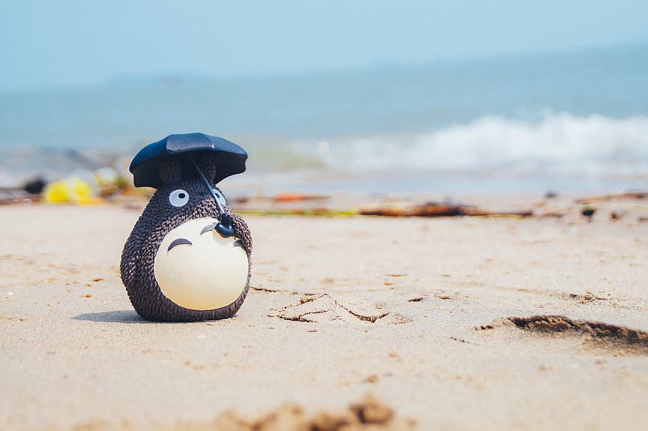 Beach, Decoration, selective focus, one animal, sea, no people HD wallpaper
