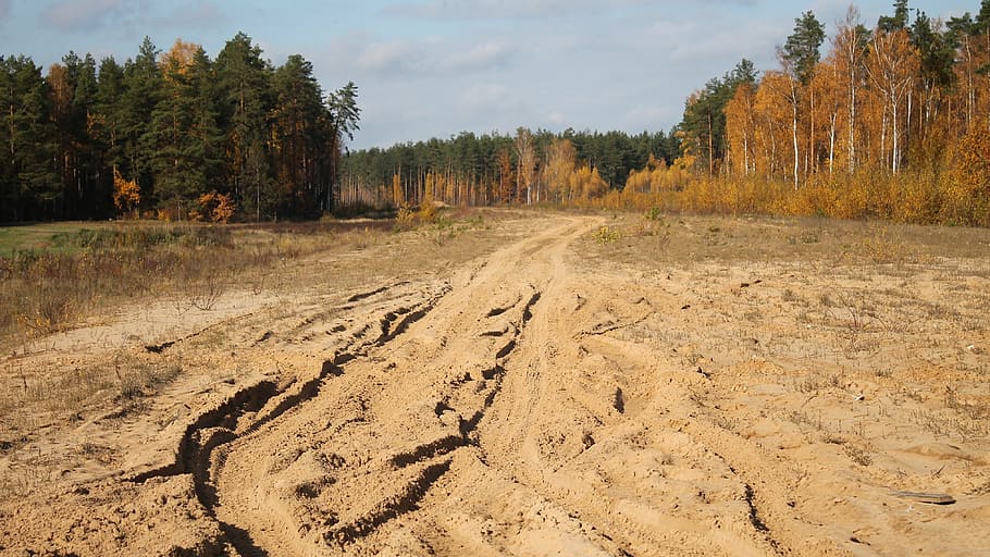 dirt road, the road in the woods, the roads, bypass road, autumn forest, HD wallpaper