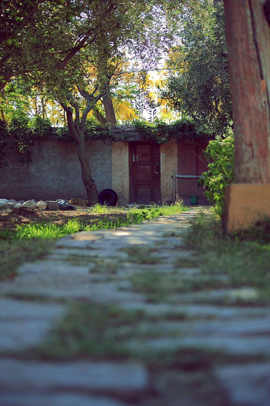 path, garden, trail, leaves, landscape, trees, door, plant HD wallpaper