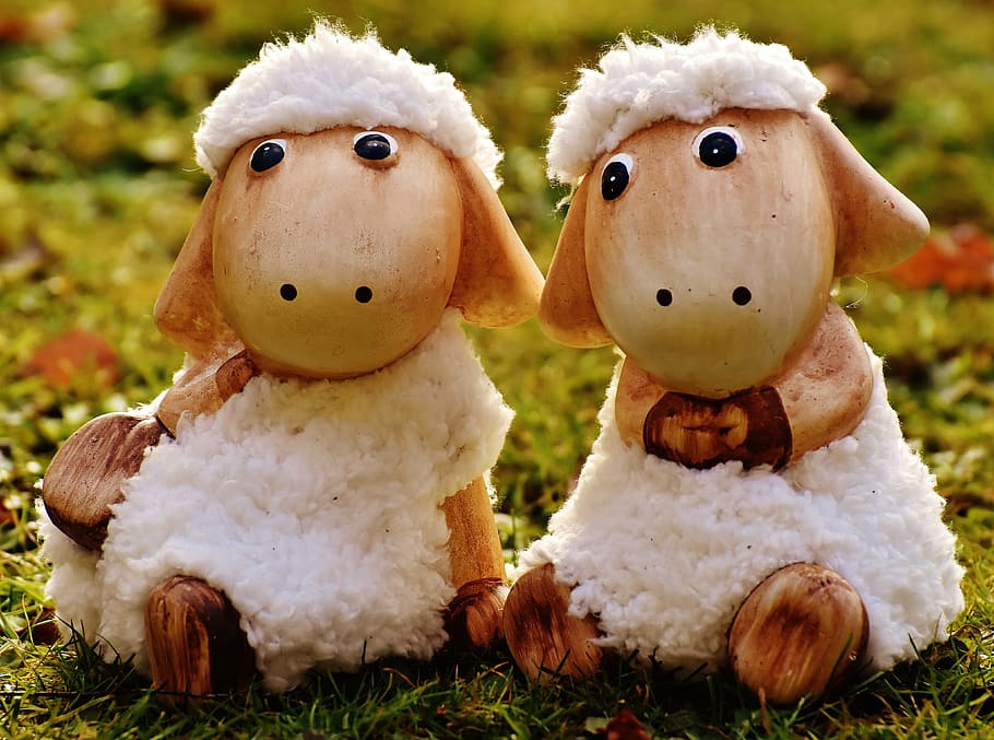 two white Shawn the Sheep figurine on green grass at daytime HD wallpaper