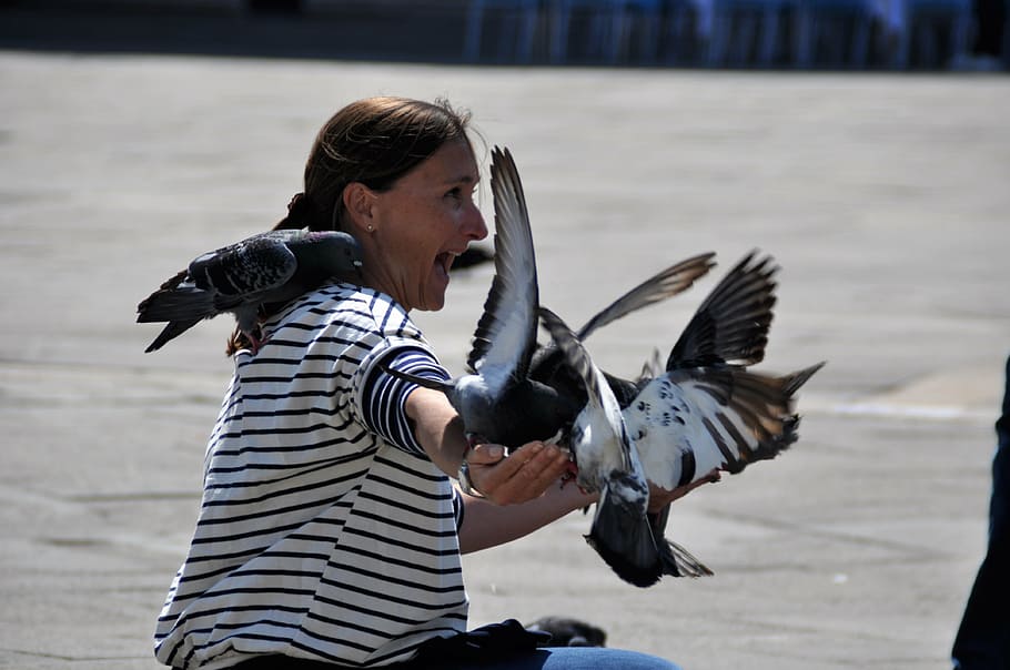 pigeons on woman at daytime, venice, st mark's square, italy, HD wallpaper