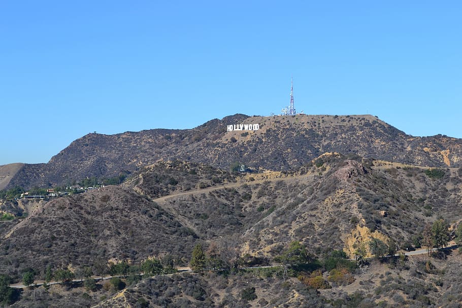 Hollywood Sign in California at daytime, Hollywood, Los Angeles, California, HD wallpaper