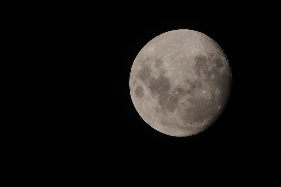 moon, nocturne, night, full moon, astro, dark background, supermoon HD wallpaper