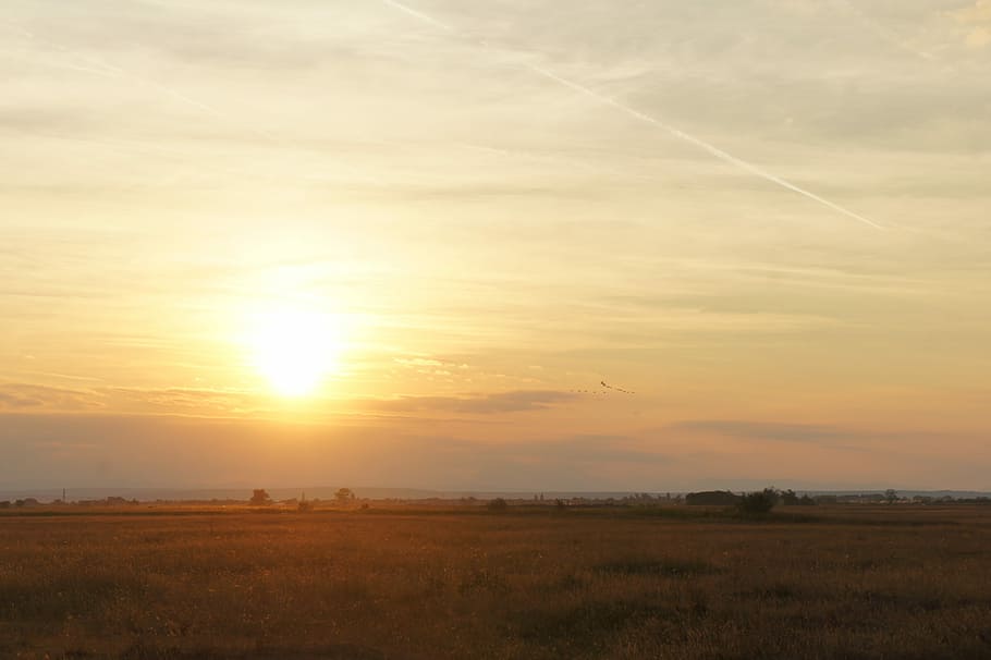 Sunset, Apetlon, Wallern, long-paints, burgenland, nature, landscape HD wallpaper