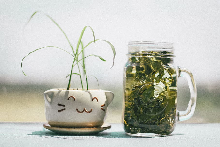 healthy, cup, glass, table, bottle, close-up, colors, container HD wallpaper