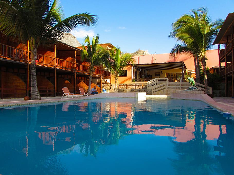 Hotel, Pool, Beach, swimming pool, water, palm tree, luxury HD wallpaper